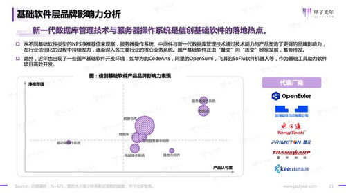 2023信创软件品牌影响力研究报告 基础软件服务的格局重塑与未来展望
